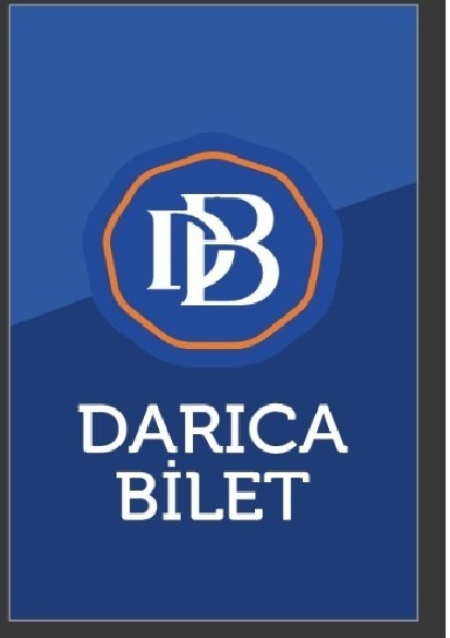 Dikey Logo Banner